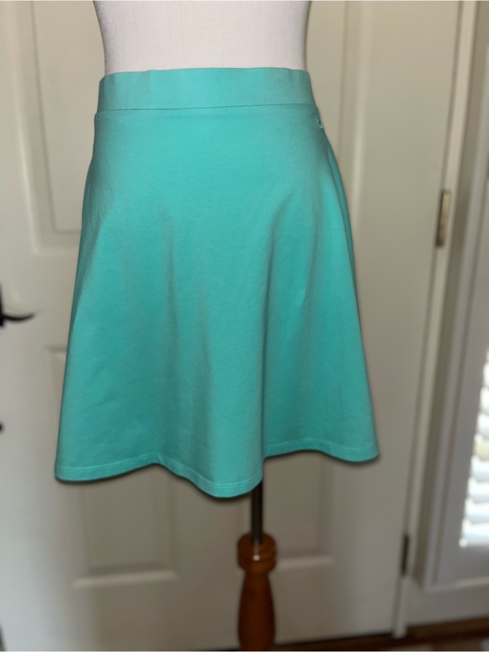 Victoria’s Secret PINK Mint Green Seafoam Green Flare Mini Skirt Size Large